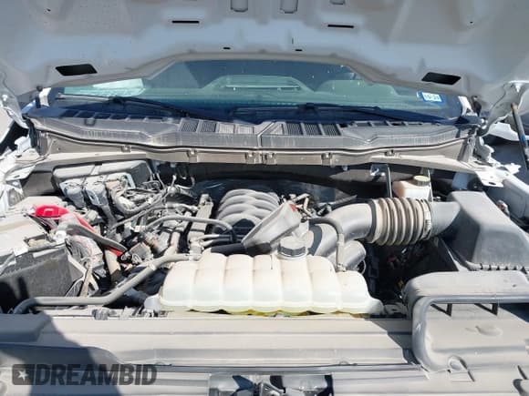 ✅ 2023 Ford F-150 XL • VIN: 1FTFX1E5XPKE11324 • Лот: 41594902. Опубликован ранее на IAAI с пробегом 15 356 миль. Бесплатный доступ к архиву аукционных продаж из США и подробный отчёт об истории автомобиля на DreamBid. Изображение 10.