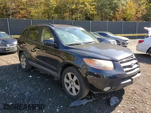 ✅ 2008 Hyundai Santa Fe SE • VIN: 5NMSH13E08H162463 • Lot: 87058995. Listed on Copart with 227,180 mi. Free auction sales archive from the USA and detailed vehicle history report at DreamBid. Image 13.