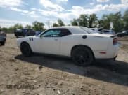 ✅ 2009 Dodge Challenger R/T • VIN: 2B3LJ54T89H602862 • Lot: 84268315. Listed on Copart with 171,614 mi. Free auction sales archive from the USA and detailed vehicle history report at DreamBid. Image 2.