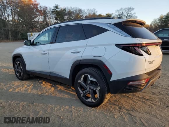 ✅ 2022 Hyundai Tucson Limited • VIN: 5NMJECAE2NH024423 • Lot: 80968044. Wystawiony na Copart z przebiegiem 42 210 mil. Bezpłatny archiwum sprzedaży aukcyjnych z USA i szczegółowy raport historii pojazdu na DreamBid. Zdjęcie 2.