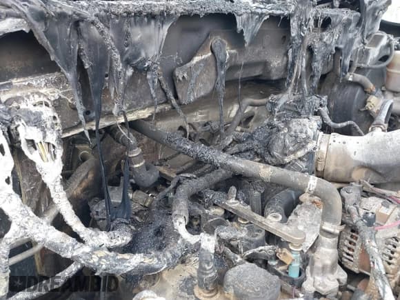 ✅ 2010 Ford F-150 XL • VIN: 1FTEX1EWXAFA94925 • Лот: 42651966. Опубликован ранее на IAAI с пробегом Не указан. Бесплатный доступ к архиву аукционных продаж из США и подробный отчёт об истории автомобиля на DreamBid. Изображение 6.