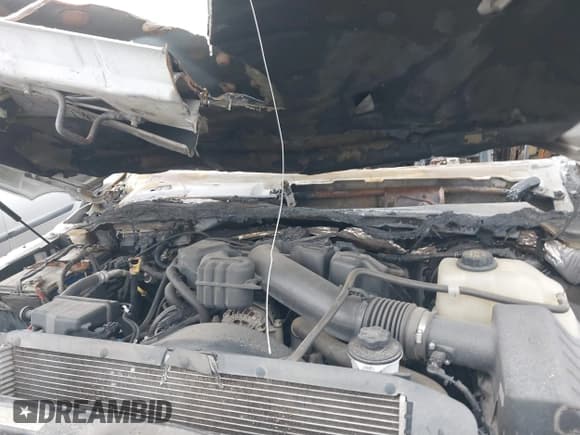 ✅ 2016 Ford F-250 Lariat • VIN: 1FT7W2B68GEB96695 • Lot: 40966007. Listed on IAAI with Not provided. Free auction sales archive from the USA and detailed vehicle history report at DreamBid. Image 10.