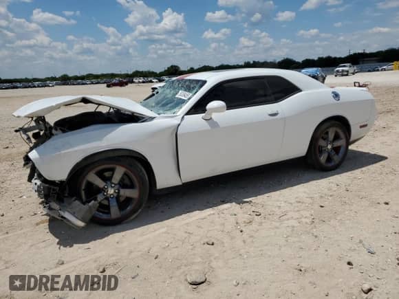 2014 Dodge Challenger Rallye Redline with VIN 2C3CDYAG6EH274063, listed as a Copart auction lot 56309455 with Not provided miles and Salvage title. Bid and sale history available at DreamBid. Image 1.