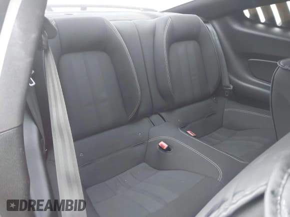 ✅ 2018 Ford Mustang EcoBoost • VIN: 1FA6P8TH0J5177521 • Lot: 43733515. Wystawiony na IAAI z przebiegiem 116 575 mil. Bezpłatny archiwum sprzedaży aukcyjnych z USA i szczegółowy raport historii pojazdu na DreamBid. Zdjęcie 8.