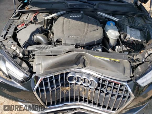 ✅ 2017 Audi allroad A4 Premium • VIN: WA17NAF43HA134131 • Lot: 65572503. Listed on Copart with 85,319 mi. Free auction sales archive from the USA and detailed vehicle history report at DreamBid. Image 11.