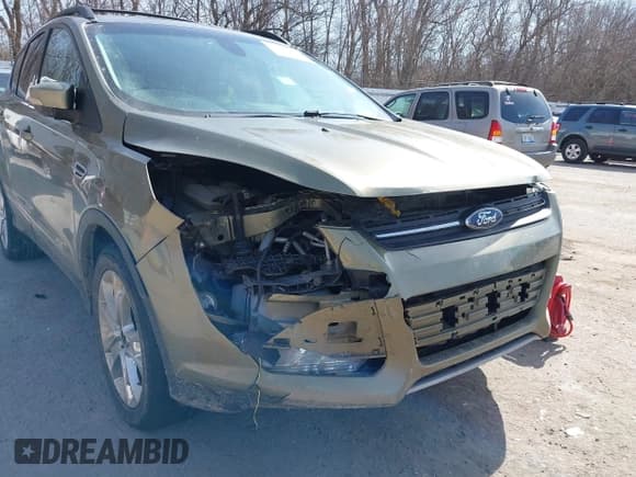 ✅ 2013 Ford Escape SEL • VIN: 1FMCU9HX4DUC34174 • Lot: 41781517. Listed on IAAI with Not provided. Free auction sales archive from the USA and detailed vehicle history report at DreamBid. Image 6.