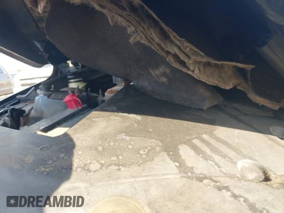 ✅ 2014 Cadillac ATS Luxury AWD • VIN: 1G6AH5SX8E0179533 • Lot: 43757153. Listed on IAAI with Not provided. Free auction sales archive from the USA and detailed vehicle history report at DreamBid. Image 10.