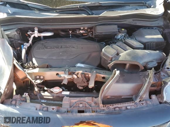 ✅ 2021 Honda Passport EX-L • VIN: 5FNYF7H59MB000452 • Лот: 89501885. Опубликован ранее на Copart с пробегом Не указан. Бесплатный доступ к архиву аукционных продаж из США и подробный отчёт об истории автомобиля на DreamBid. Изображение 12.