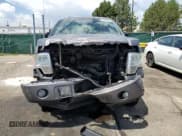 ✅ 2013 Ford F-150 XL • VIN: 1FTFX1EF4DFC99603 • Лот: 61094315. Опубликован ранее на Copart с пробегом 148 899 миль. Бесплатный доступ к архиву аукционных продаж из США и подробный отчёт об истории автомобиля на DreamBid. Изображение 5.