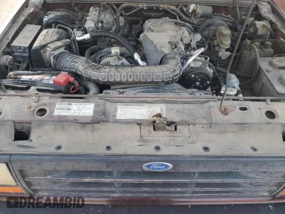 ✅ 1994 Ford Explorer Eddie Bauer • VIN: 1FMCU22X9RUD89035 • Lot: 45743325. Wystawiony na Copart z przebiegiem 223 237 mil. Bezpłatny archiwum sprzedaży aukcyjnych z USA i szczegółowy raport historii pojazdu na DreamBid. Zdjęcie 12.