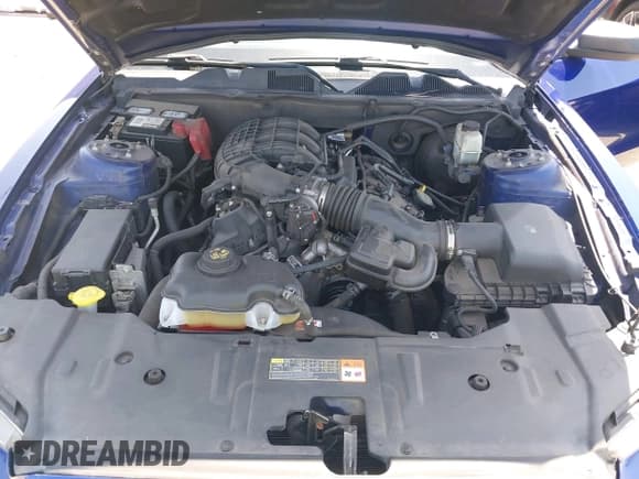 ✅ 2014 Ford Mustang V6 • VIN: 1ZVBP8AM2E5275266 • Lot: 42520260. Listed on IAAI with 117,589 mi. Free auction sales archive from the USA and detailed vehicle history report at DreamBid. Image 10.