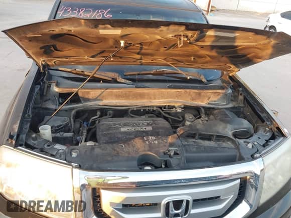 2009 Honda Pilot LX with VIN 5FNYF38239B004504, listed as a IAAI auction lot 43382186 with 218,342 mi miles and . Bid and sale history available at DreamBid. Image 10.