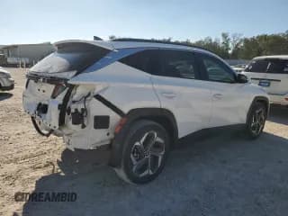 ✅ 2023 Hyundai Tucson Limited • VIN: 5NMJE3AE5PH181818 • Lot: 80778304. Wystawiony na Copart z przebiegiem 28 519 mil. Bezpłatny archiwum sprzedaży aukcyjnych z USA i szczegółowy raport historii pojazdu na DreamBid. Zdjęcie 3.