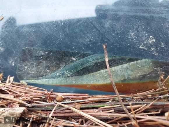 ✅ 1983 Pontiac Firebird • VIN: 1G2AS8718DN214145 • Lot: 43756736. Wystawiony na IAAI z przebiegiem Nie podano. Bezpłatny archiwum sprzedaży aukcyjnych z USA i szczegółowy raport historii pojazdu na DreamBid. Zdjęcie 9.