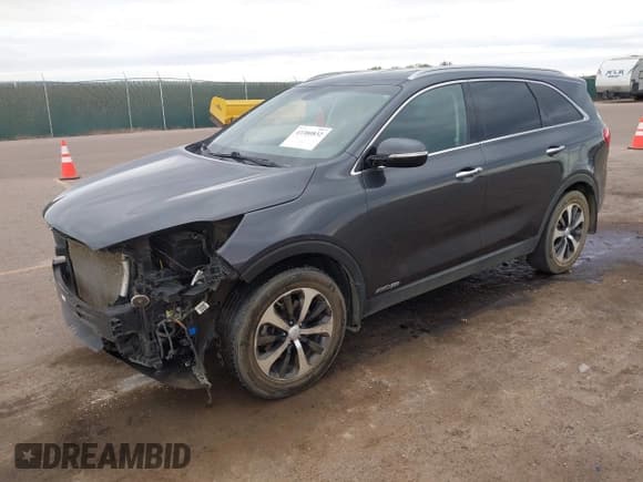 ✅ 2017 Kia Sorento EX • VIN: 5XYPHDA54HG330559 • Lot: 43380832. Listed on IAAI with 113,563 mi. Free auction sales archive from the USA and detailed vehicle history report at DreamBid. Image 20.