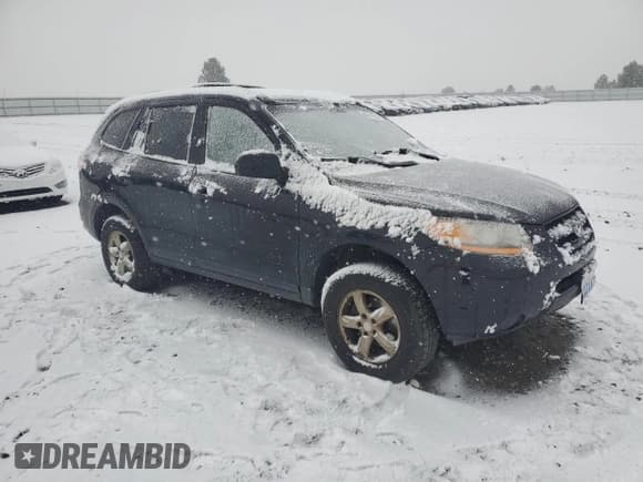 ✅ 2008 Hyundai Santa Fe GLS • VIN: 5NMSG13D28H210779 • Lot: 85106504. Listed on Copart with 125,215 mi. Free auction sales archive from the USA and detailed vehicle history report at DreamBid. Image 4.