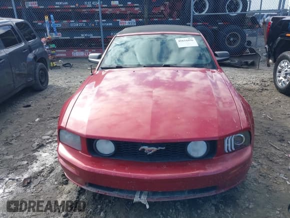 ✅ 2008 Ford Mustang GT Deluxe • VIN: 1ZVHT85H985127428 • Лот: 41634456. Опубликован ранее на IAAI с пробегом 177 469 миль. Бесплатный доступ к архиву аукционных продаж из США и подробный отчёт об истории автомобиля на DreamBid. Изображение 12.