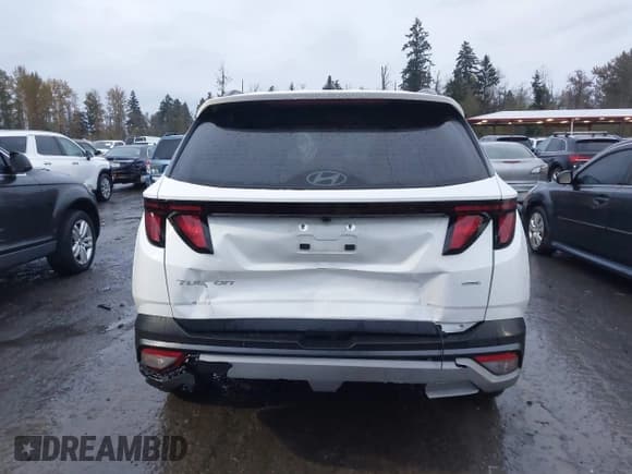 ✅ 2025 Hyundai Tucson SEL • VIN: 5NMJBCDEXSH559516 • Lot: 43607654. Wystawiony na IAAI z przebiegiem 10 375 mil. Bezpłatny archiwum sprzedaży aukcyjnych z USA i szczegółowy raport historii pojazdu na DreamBid. Zdjęcie 16.