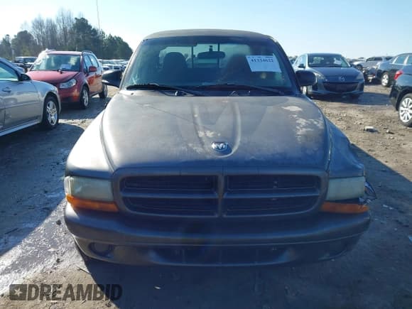 ✅ 2002 Dodge Dakota • VIN: 1B7GG12X72S664670 • Lot: 41334622. Wystawiony na IAAI z przebiegiem Nie podano. Bezpłatny archiwum sprzedaży aukcyjnych z USA i szczegółowy raport historii pojazdu na DreamBid. Zdjęcie 11.