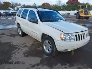 ✅ 2000 Jeep Grand Cherokee Limited • VIN: 1J4GW58N3YC122365 • Lot: 43677196. Listed on IAAI with 213,948 mi. Free auction sales archive from the USA and detailed vehicle history report at DreamBid. Image 1.