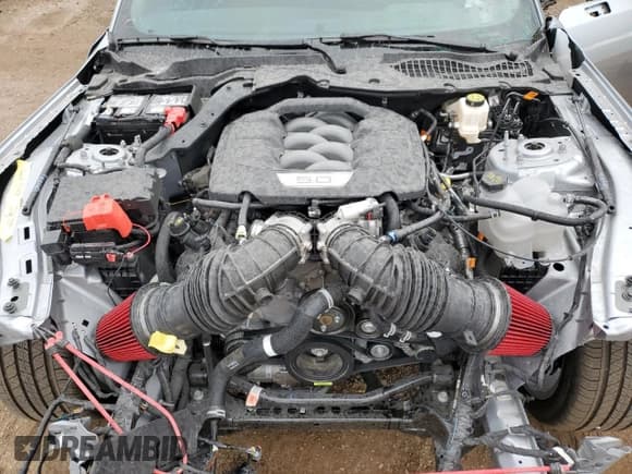 ✅ 2025 Ford Mustang GT • VIN: 1FA6P8CF2S5406264 • Lot: 71981365. Listed on Copart with 892 mi. Free auction sales archive from the USA and detailed vehicle history report at DreamBid. Image 11.