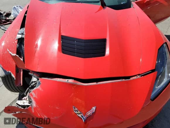 2019 Chevrolet Corvette 1LT z VIN 1G1YB2D7XK5112710, wystawiony jako Copart lot #66812444 z przebiegiem 29 090 mil mil oraz Szkoda całkowita • Salvage title. Historia ofert i sprzedaży dostępna na DreamBid. Obrazek 13.
