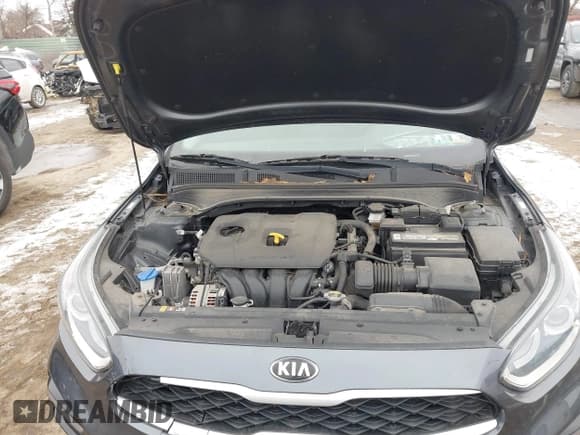 ✅ 2019 Kia Forte LXS • VIN: 3KPF24AD3KE080451 • Lot: 41543510. Listed on IAAI with 42,281 mi. Free auction sales archive from the USA and detailed vehicle history report at DreamBid. Image 10.