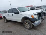 ✅ 2014 Ford F-150 XLT • VIN: 1FTFW1EF2EFB86513 • Lot: 43644500. Listed on IAAI with 157,444 mi. Free auction sales archive from the USA and detailed vehicle history report at DreamBid. Image 13.