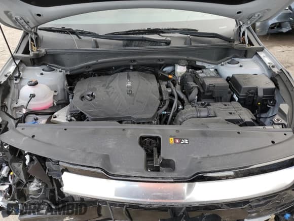 ✅ 2024 Kia Sportage SX-Prestige • VIN: 5XYK5CDF9RG217421 • Lot: 42293205. Listed on Copart with 8,515 mi. Free auction sales archive from the USA and detailed vehicle history report at DreamBid. Image 13.