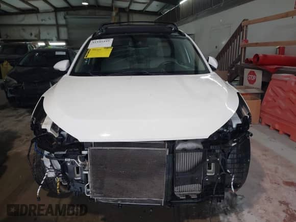 2018 Hyundai Tucson Limited with VIN KM8J33A21JU622755, listed as a IAAI auction lot 41545445 with 53,971 mi miles and . Bid and sale history available at DreamBid. Image 13.