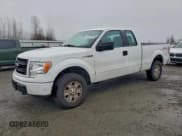 ✅ 2013 Ford F-150 XL • VIN: 1FTEX1EM0DKE12383 • Lot: 95267645. Wystawiony na Copart z przebiegiem 212 171 mil. Bezpłatny archiwum sprzedaży aukcyjnych z USA i szczegółowy raport historii pojazdu na DreamBid. Zdjęcie 1.