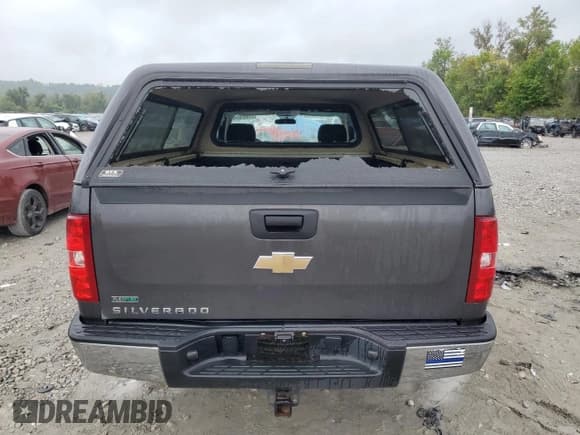 ✅ 2011 Chevrolet Silverado 1500 Work Truck • VIN: 1GCNCPE07BZ304908 • Lot: 71587054. Listed on Copart with 338,987 mi. Free auction sales archive from the USA and detailed vehicle history report at DreamBid. Image 6.