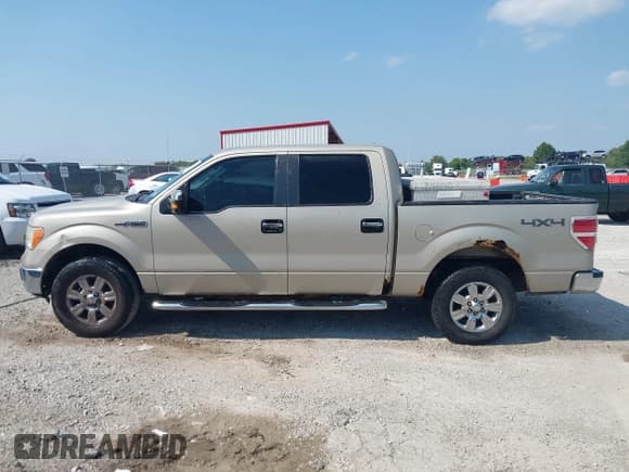 ✅ 2009 Ford F-150 XL • VIN: 1FTPW14V69FA94565 • Lot: 43018967. Wystawiony na IAAI z przebiegiem 356 935 mil. Bezpłatny archiwum sprzedaży aukcyjnych z USA i szczegółowy raport historii pojazdu na DreamBid. Zdjęcie 14.