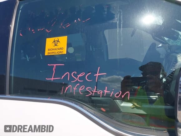 ✅ 2015 Ford F-150 XLT • VIN: 1FTEW1EG1FFA70273 • Lot: 42982925. Listed on IAAI with Not provided. Free auction sales archive from the USA and detailed vehicle history report at DreamBid. Image 6.