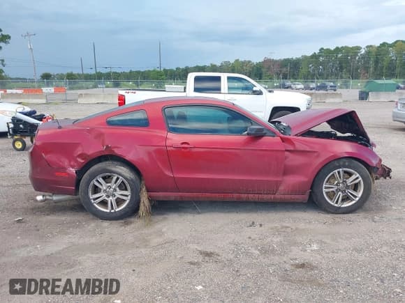 ✅ 2014 Ford Mustang V6 • VIN: 1ZVBP8AM5E5211979 • Лот: 43019247. Опубликован ранее на IAAI с пробегом 239 586 миль. Бесплатный доступ к архиву аукционных продаж из США и подробный отчёт об истории автомобиля на DreamBid. Изображение 12.