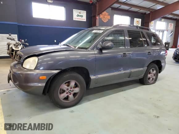 2005 Hyundai Santa Fe GLS z VIN KM8SC73D75U955736, wystawiony jako Copart lot #41362845 z przebiegiem 167 955 mil mil oraz Szkoda całkowita • Salvage title. Historia ofert i sprzedaży dostępna na DreamBid. Obrazek 1.