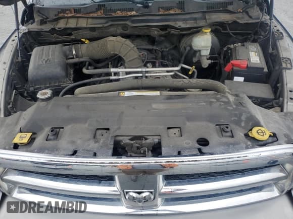 ✅ 2010 Dodge 1500 SLT • VIN: 1D7RB1CT9AS108772 • Lot: 67778585. Wystawiony na Copart z przebiegiem 137 712 mil. Bezpłatny archiwum sprzedaży aukcyjnych z USA i szczegółowy raport historii pojazdu na DreamBid. Zdjęcie 11.