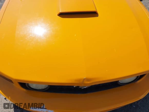 ✅ 2008 Ford Mustang GT Deluxe • VIN: 1ZVHT82H885149991 • Lot: 41659094. Listed on IAAI with 140,534 mi. Free auction sales archive from the USA and detailed vehicle history report at DreamBid. Image 18.