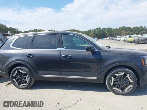✅ 2025 Kia Telluride S • VIN: 5XYP6DGC3SG694734 • Lot: 43486739. Listed on IAAI with 2,197 mi. Free auction sales archive from the USA and detailed vehicle history report at DreamBid. Image 13.