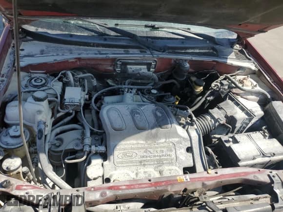 ✅ 2003 Ford Escape XLT Popular • VIN: 1FMYU03193KC16879 • Lot: 80380475. Listed on Copart with 253,867 mi. Free auction sales archive from the USA and detailed vehicle history report at DreamBid. Image 11.