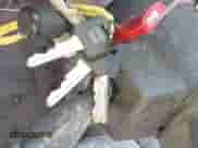 ✅ 1994 GMC Sierra 1500 SLE1 • VIN: 2GTEC19ZXR1545189 • Лот: 43587303. Размещён на IAAI с пробегом 392 935 миль миль. Получите бесплатный доступ к архиву аукционных продаж из США и посмотрите подробный отчёт об истории автомобиля на DreamBid. Изображение 11.