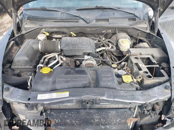 ✅ 2004 Dodge Dakota SLT • VIN: 1D7HG48N44S701906 • Lot: 41662483. Wystawiony na IAAI z przebiegiem 202 575 mil. Bezpłatny archiwum sprzedaży aukcyjnych z USA i szczegółowy raport historii pojazdu na DreamBid. Zdjęcie 10.