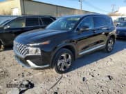 ✅ 2021 Hyundai Santa Fe SEL • VIN: 5NMS6DAJ1MH356937 • Lot: 78811203. Wystawiony na Copart z przebiegiem 43 516 mil. Bezpłatny archiwum sprzedaży aukcyjnych z USA i szczegółowy raport historii pojazdu na DreamBid. Zdjęcie 1.