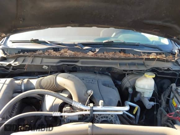 2017 Ram 1500 SLT с VIN 1C6RR7LT6HS566800, выставлен на аукционе IAAI как лот 43330506 с пробегом 128 041 миль миль и . История ставок и продаж доступна на DreamBid. Изображение 10.