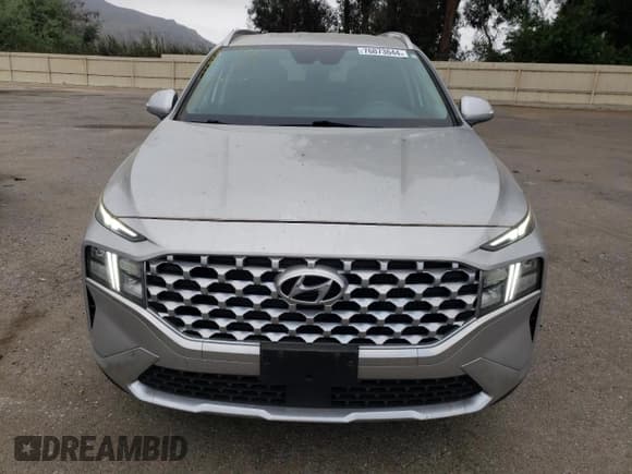 ✅ 2021 Hyundai Santa Fe Blue • VIN: KM8S2DA1XMU006125 • Lot: 76073644. Listed on Copart with 30,357 mi. Free auction sales archive from the USA and detailed vehicle history report at DreamBid. Image 5.