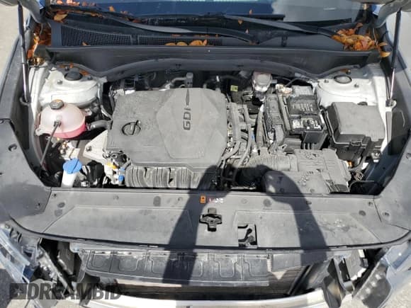 ✅ 2022 Hyundai Santa Fe SEL • VIN: 5NMS24AJ4NH446810 • Lot: 52481574. Wystawiony na Copart z przebiegiem 28 647 mil. Bezpłatny archiwum sprzedaży aukcyjnych z USA i szczegółowy raport historii pojazdu na DreamBid. Zdjęcie 12.