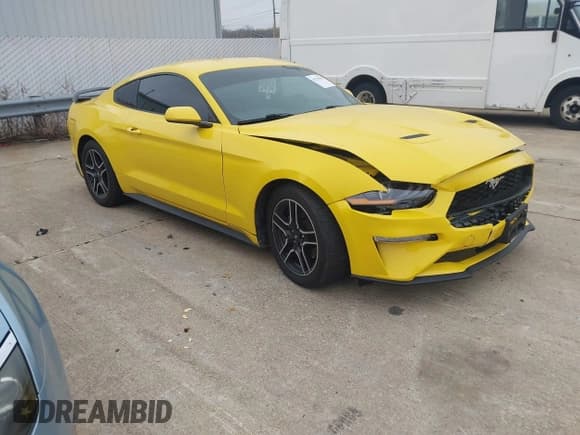 ✅ 2018 Ford Mustang EcoBoost • VIN: 1FA6P8TH0J5177521 • Lot: 43733515. Wystawiony na IAAI z przebiegiem 116 575 mil. Bezpłatny archiwum sprzedaży aukcyjnych z USA i szczegółowy raport historii pojazdu na DreamBid. Zdjęcie 1.
