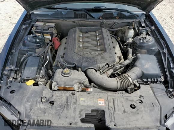 ✅ 2013 Ford Mustang GT • VIN: 1ZVBP8CF7D5278824 • Lot: 69683275. Listed on Copart with 122,445 mi. Free auction sales archive from the USA and detailed vehicle history report at DreamBid. Image 11.