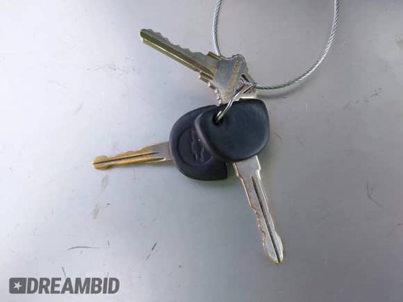 ✅ 2001 Chevrolet Silverado 1500 LT • VIN: 1GCEC19TX1Z142546 • Lot: 42408473. Wystawiony na IAAI z przebiegiem Nie podano mil. Skorzystaj z bezpłatnego archiwum sprzedaży aukcyjnych z USA i zobacz szczegółowy raport historii pojazdu na DreamBid. Zdjęcie 11.