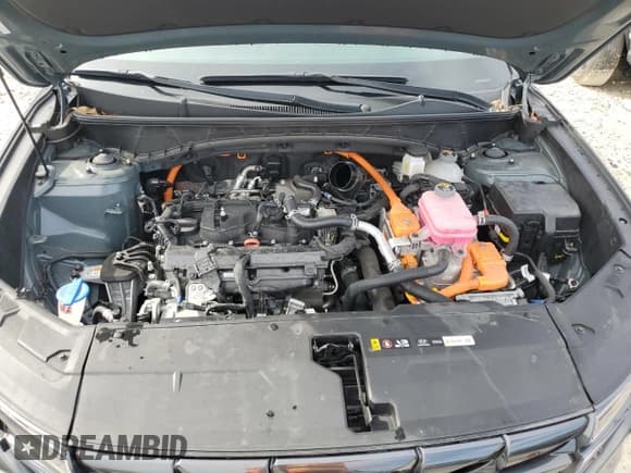 ✅ 2024 Hyundai Tucson SEL Convenience • VIN: KM8JCCD12RU182320 • Lot: 81629335. Wystawiony na Copart z przebiegiem 24 222 mil. Bezpłatny archiwum sprzedaży aukcyjnych z USA i szczegółowy raport historii pojazdu na DreamBid. Zdjęcie 11.